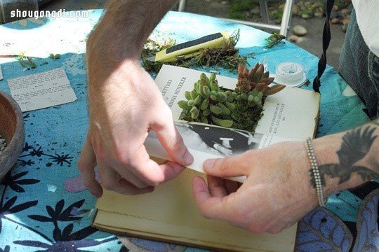 舊書變廢為寶：手工DIY多肉植物盆栽創意