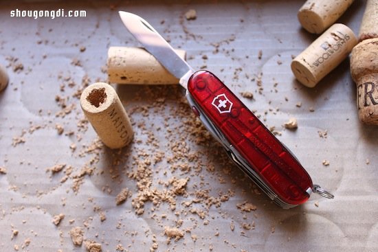 軟木塞變廢為寶：手工DIY迷你多肉盆栽與冰箱貼