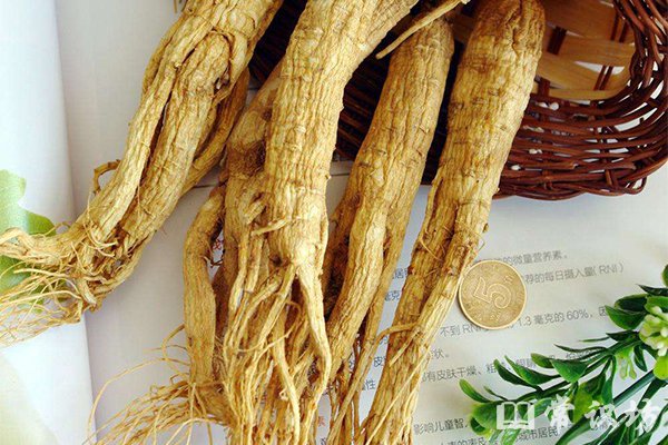 吃人參中毒怎麼辦?緊急處置、中醫療法與飲食療法