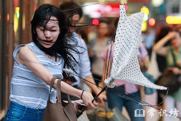 台風來臨如何正確避險？關鍵應對措施與注意事項