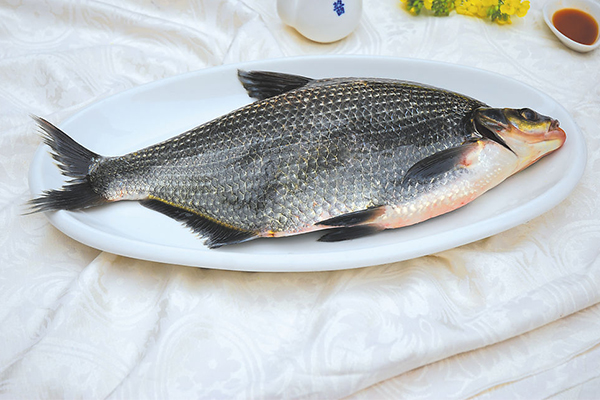 魚膽中毒的急救措施與症狀處理