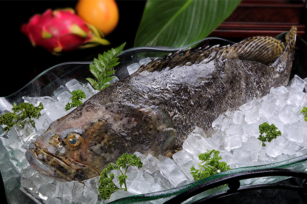 石斑魚雪卡毒風險預警:如何安全食用深海魚