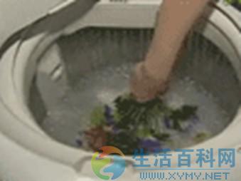 巧洗絹花：輕柔清洗保持形狀