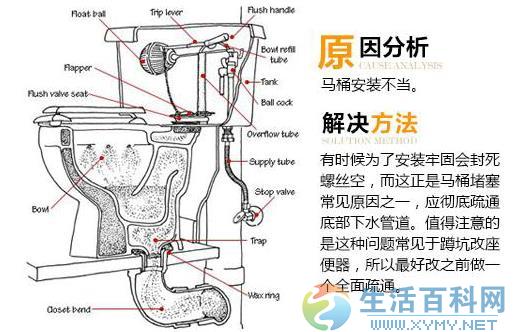 座便器堵了怎麼辦？馬桶堵了怎麼通？實用疏通與預防指南