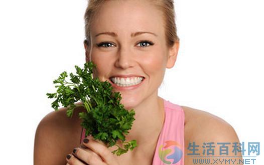 跳蚤的危害与防治:症状识别与安全除蚤指南