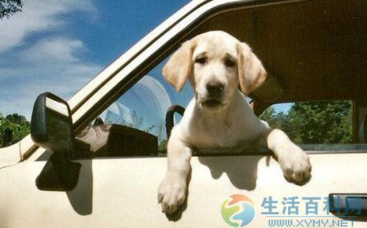暈車的症狀、表現及預防治療方式