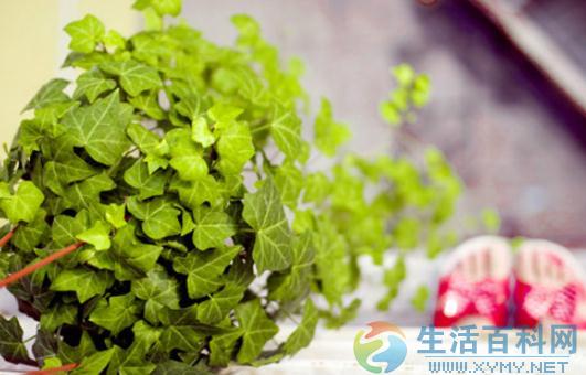 9個生活妙招讓你清爽度過炎夏