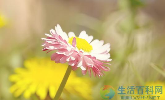 如何防感冒?居家实用生活妙招