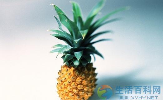 鳳梨花的介紹