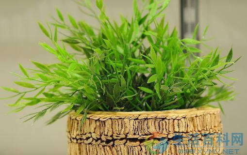 養花必讀:施肥的重要性與實用指南