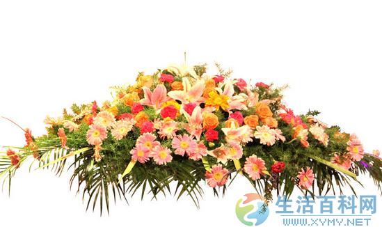 花卉上盆的步驟與方法
