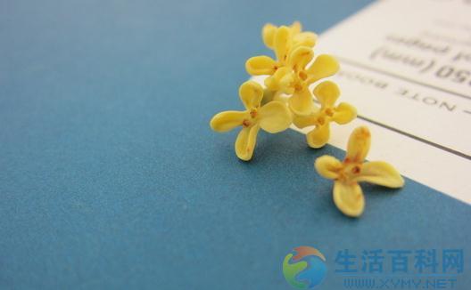 桂花的品种有哪些?