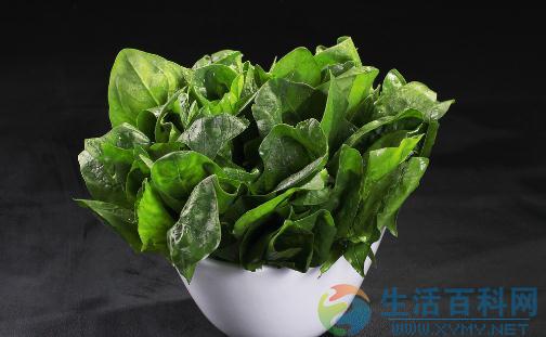 朋友搬家/喬遷送什麼盆栽植物？推薦與寓意