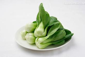 油菜的功效与作用及禁忌
