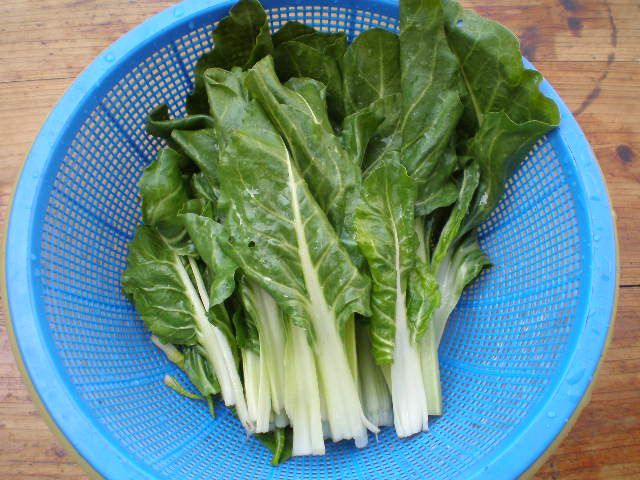 青菜的功效与作用及禁忌全面解析