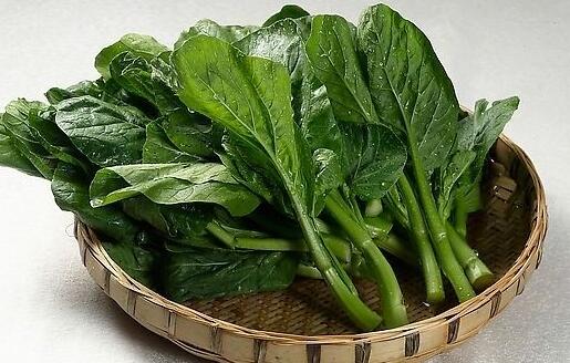 青菜的功效与作用及禁忌全面解析