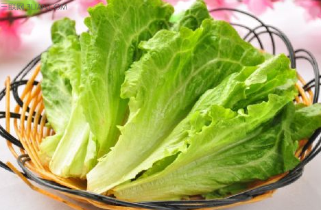 生菜的功效与作用及禁忌