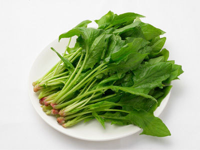 菠菜的功效与作用及禁忌全面解析