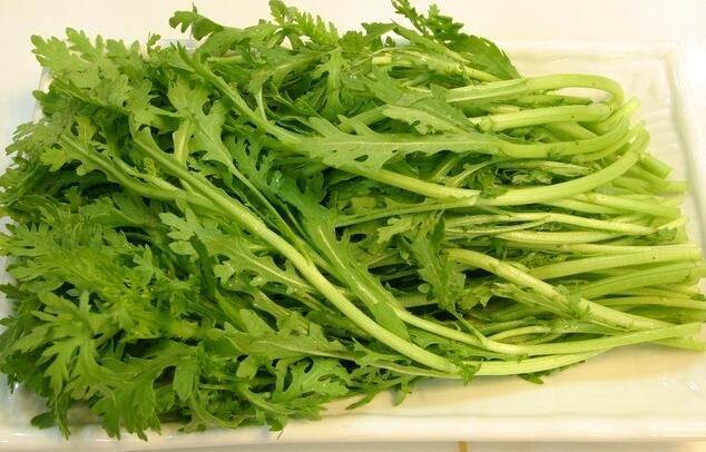 茼蒿的功效与作用及禁忌