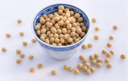 黃豆的功效與作用及禁忌：全面營養與健康注意