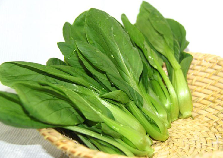 小白菜种植技术详解
