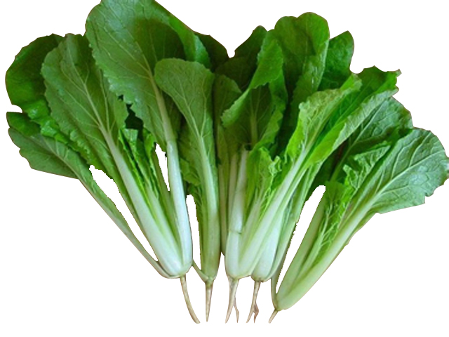 小白菜种植技术详解