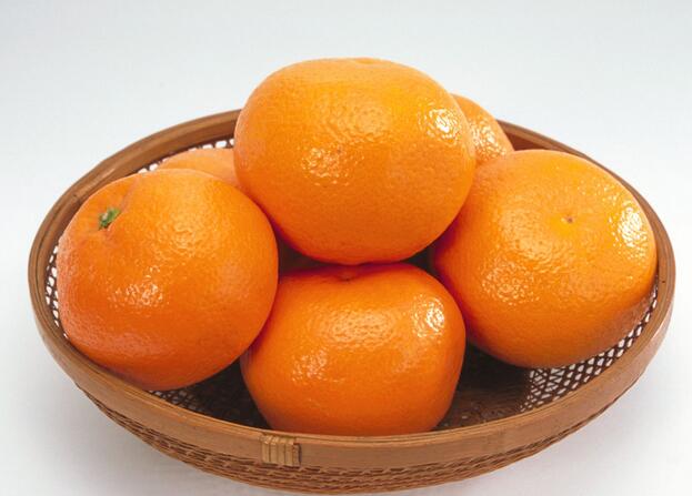 蜜橘的功效、作用及食用禁忌