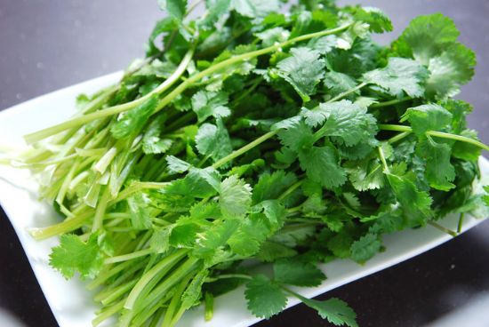 香菜的功效与作用及禁忌