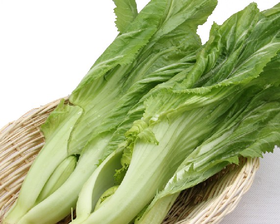 芥菜的功效与作用及禁忌