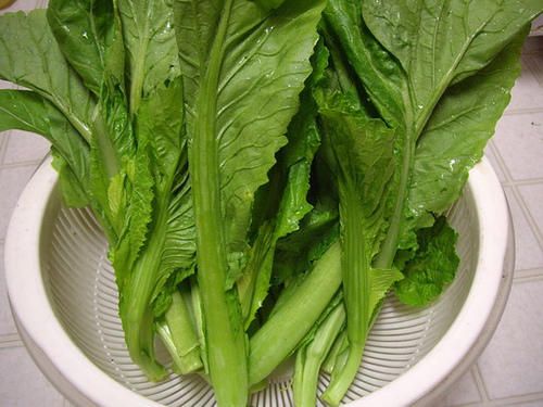 芥菜的功效与作用及禁忌