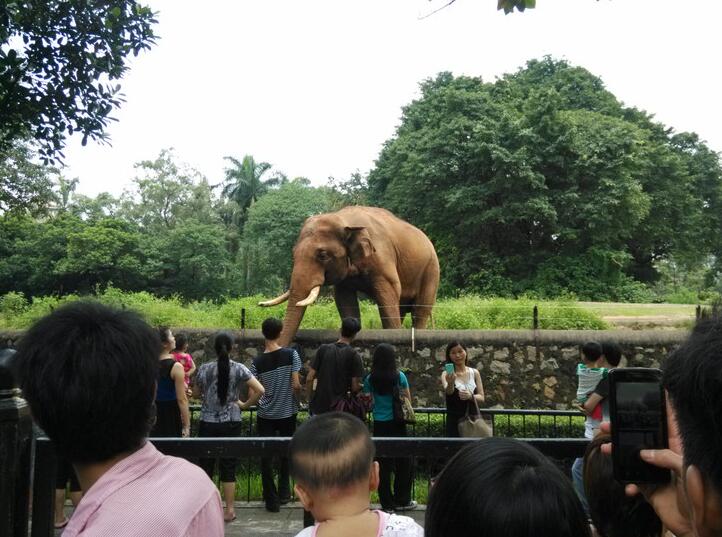 广州十大旅游景点排名与介绍