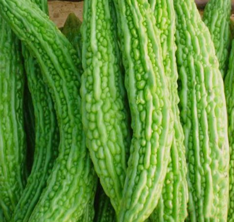 夏天吃什麼|蔬菜|水果