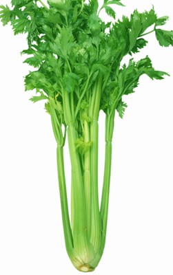 夏天吃什麼|蔬菜|水果