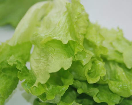 夏天吃什麼|蔬菜|水果