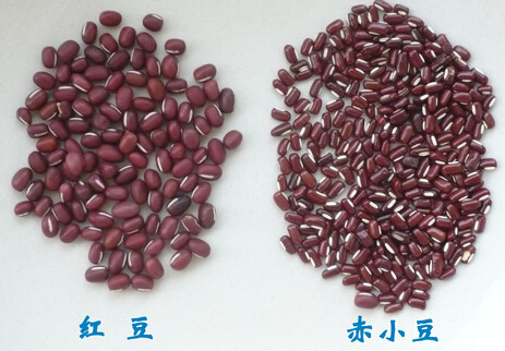 赤小豆與红豆差異比較