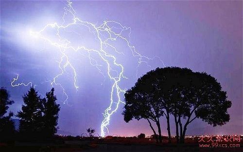 避雷指南：7大常識防止雷擊危險