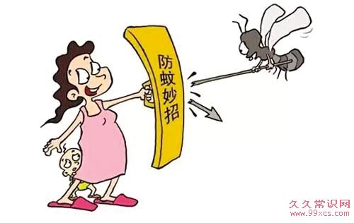 春季防蚊虫小知識 預防蚊蟲要這麼做