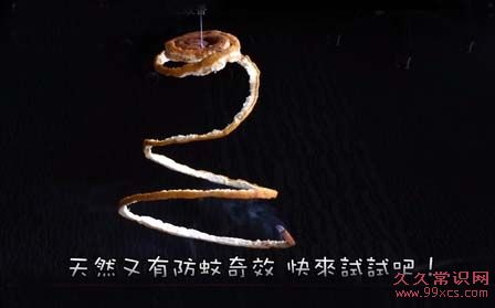 柚子皮天然蚊香DIY 清香驅蚊又環保