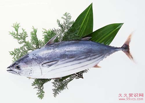 魚身上的5個珍貳：營養不遜於魚肉，別再隨意丟棄