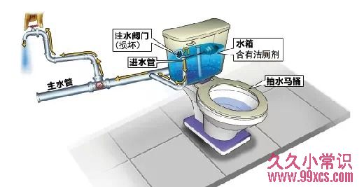 马桶水箱放藍色潔廁塊是否真的會污染飲用水?