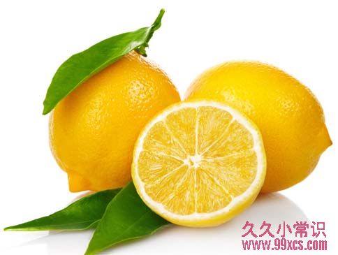 天然驅蟻除蟑:居家環保小物拯救清潔大師