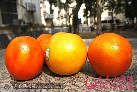 染色臍橙的健康威脅：如何辨識與避免肝腎損害