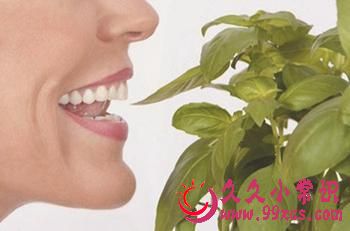 有效防治口臭的实用方法