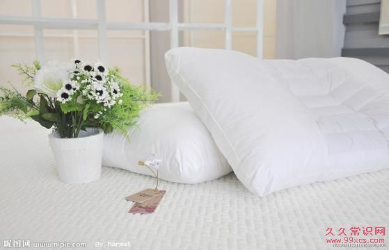 枕頭怎麼曬才健康?多久換一次枕頭比較好?