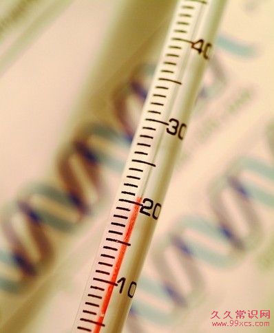 溫度對身體與生活的深遠影響：從舒適到危險的溫度範圍