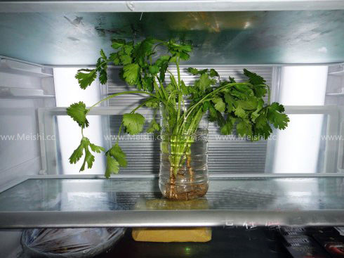 香菜如何保鲜:半瓶水让香菜再葱郁半個月