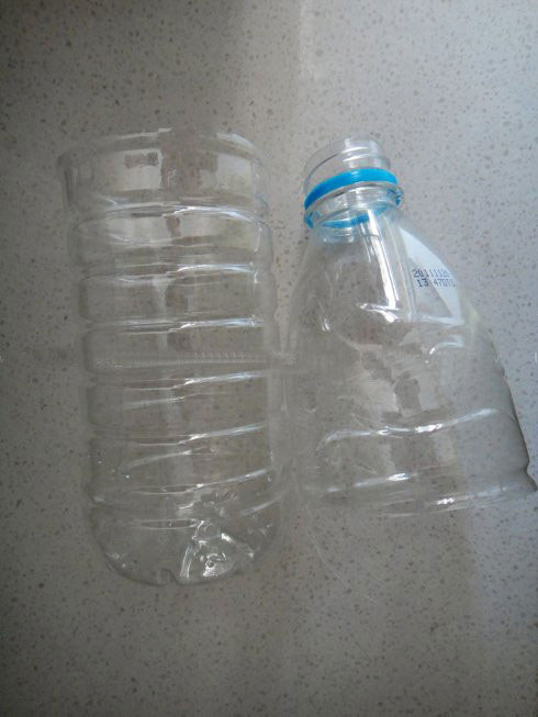 香菜如何保鲜:半瓶水让香菜再葱郁半個月