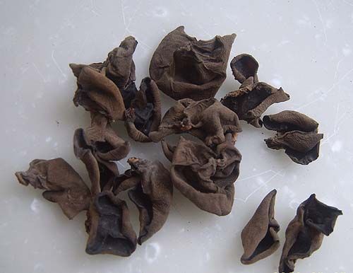 如何快速泡發木耳？4分鐘微波妙招秒搞定干木耳
