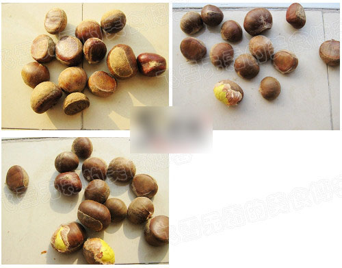 板栗怎麼辦?手把手教你5種快速去殼剝皮法