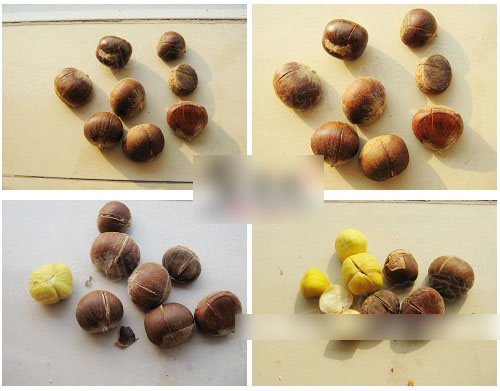 板栗怎麼辦?手把手教你5種快速去殼剝皮法
